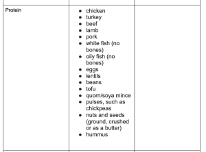Protein food group examples